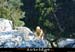 20060905_autridge_003
