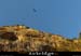 20060905_autridge_080