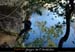 20061112_rappelfoussoubiedwn_01