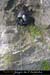 20061112_rappelfoussoubieup_06
