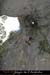20061112_rappelfoussoubieup_08