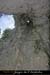 20061112_rappelfoussoubieup_14