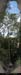 20061112_rappelfoussoubieup_24