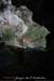 20070303_rappelfoussoubieup_olivier3