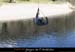 20070406_rappelfousoubiebalancier_jn1