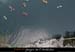 20070406_rappelfousoubiedwn_jnoel_14