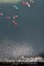 20070406_rappelfousoubiedwn_jnoel_15