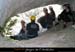 20070409_rappelfousoubieinter_1