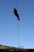 20070409_rappelfousoubieremontee_damien1
