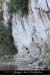20070409_rappelfousoubieremontee_mat02
