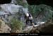 20070409_rappelfousoubieup_greg4