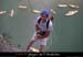20070527_p2_10jl