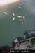 20070527_p2_37