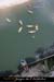 20070527_p2_39