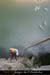 20070527_p2_58