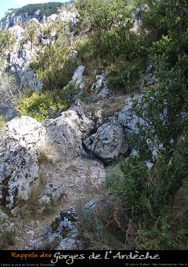 20070817_f002