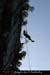 20090730_foussoubierappel33