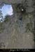 20061112_rappelfoussoubieup_16