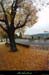 20111120_cyclo_planzolles