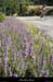 20130719_cyclo_rocles_crxderocles2