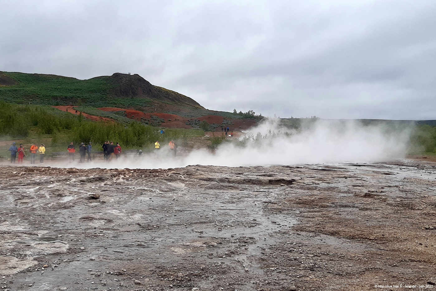 20220602g_01