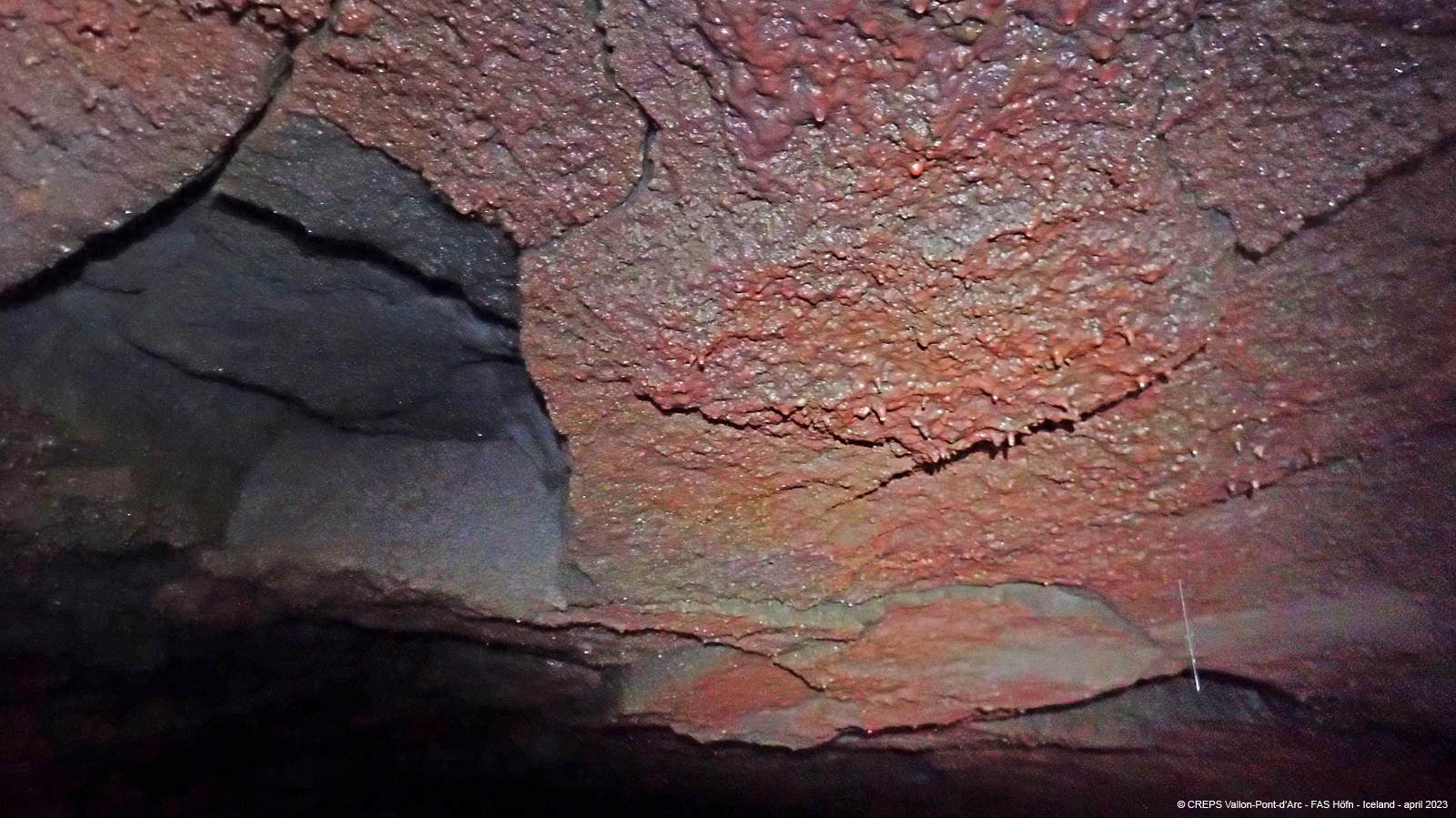20230425_0123