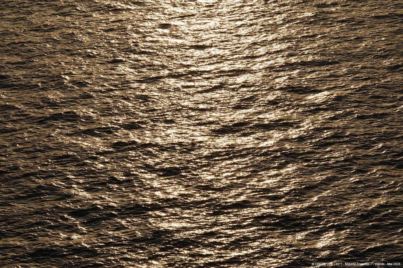 20260524_036