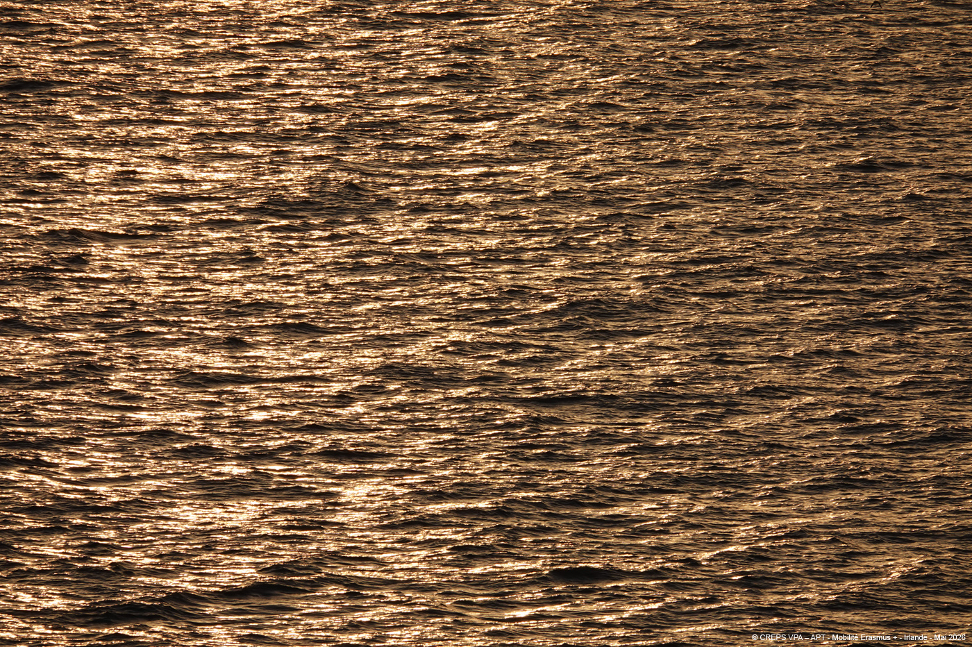 20260524_038
