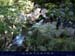 20070729_bezorgues02