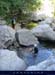 20070729_bezorgues30