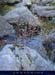 20070729_bezorgues32