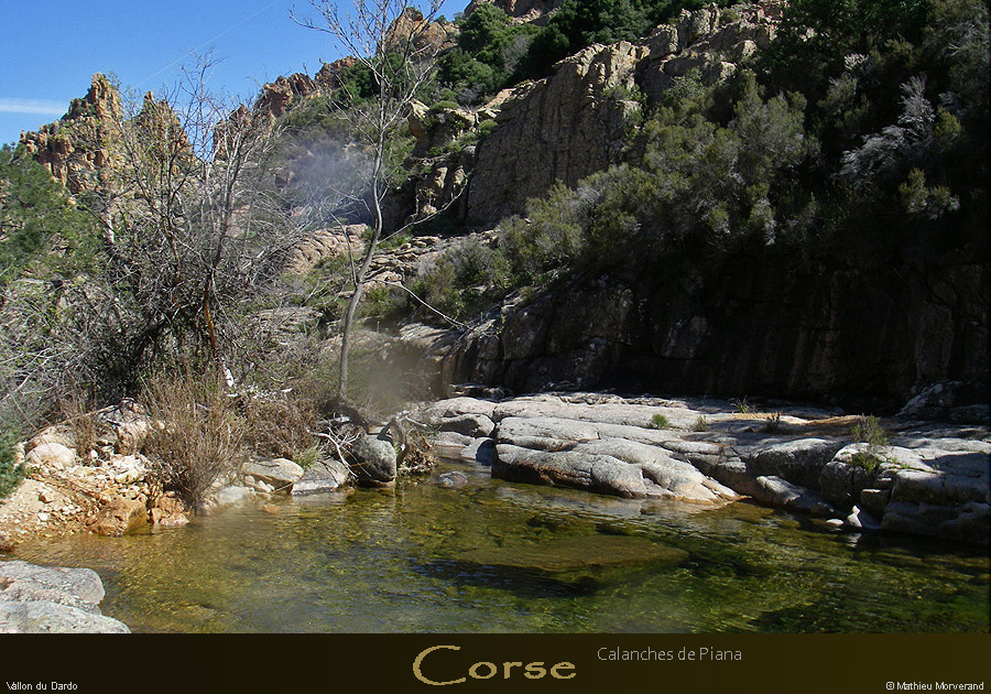 20080405_imgp3470