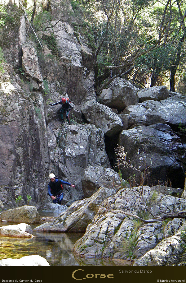 20080405_imgp3765