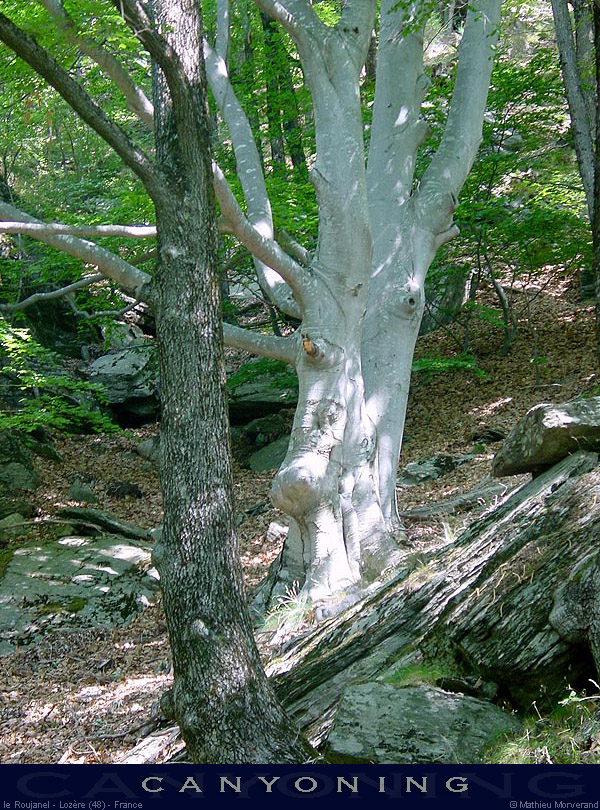 20020721_02
