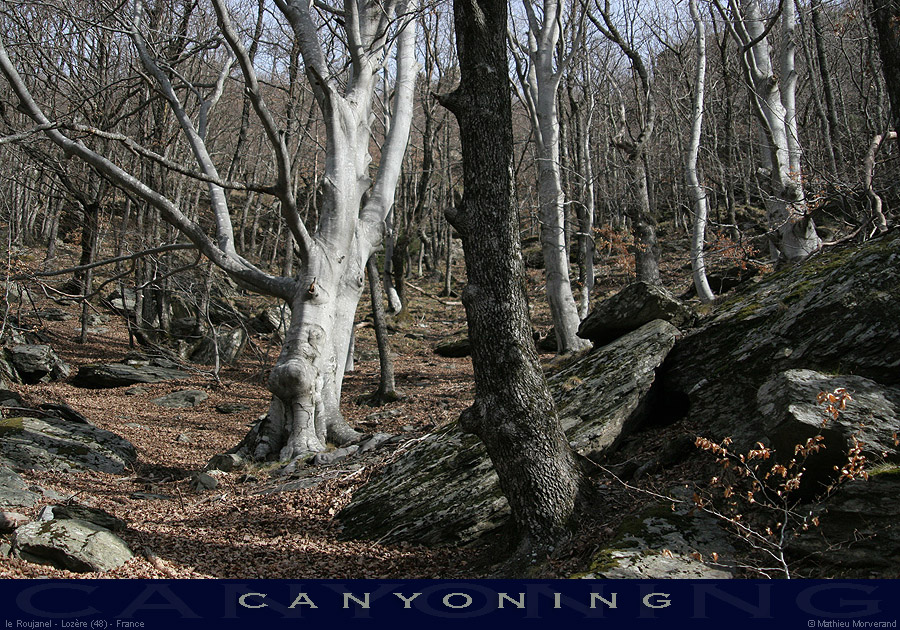20070304_03
