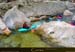 20010329_golo_p6_pascal