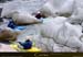 20010329_golo_p8_didierdavidsylvain