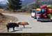 20170405_golocochon04
