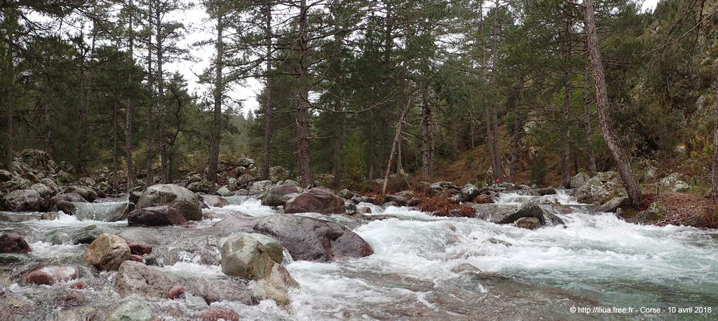201804010_043