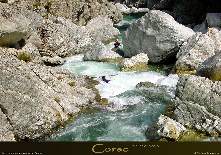 20010325_vecchio_p4_cedric