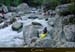 20010325_vecchio_p6_cedric