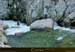 20010325_vecchio_p7_cedric