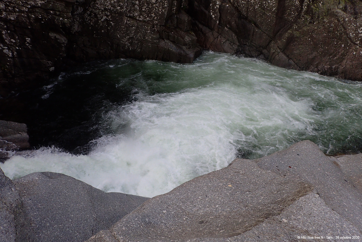 20201028_029