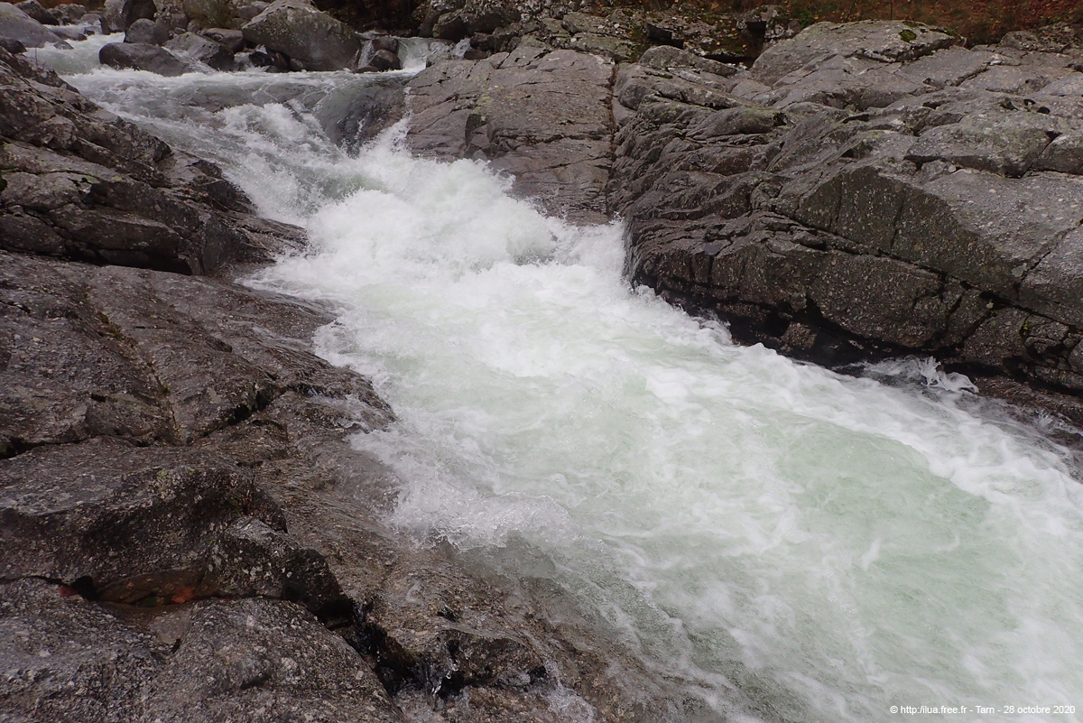 20201028_049
