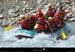 20020621_isere_centron_raft_patrick_5