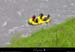 20010517_raft_ubaye_ml_11