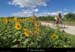 20140709_139