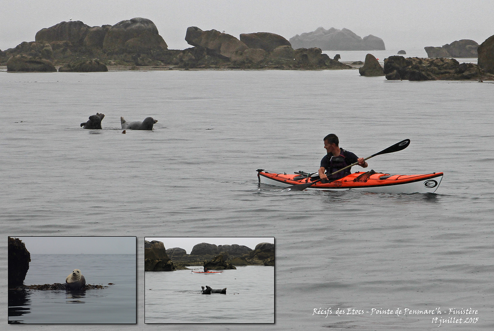 20150719_phoques_etocs2015lo