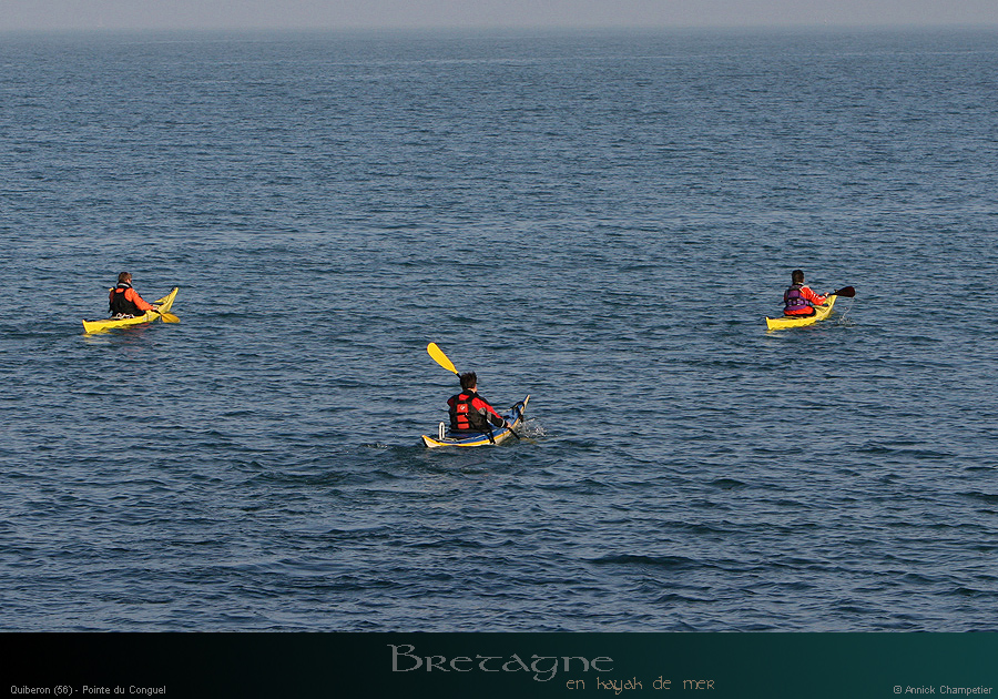20110308d_005
