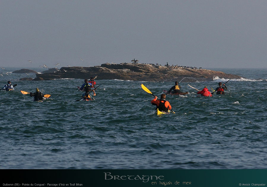 20110308d_031